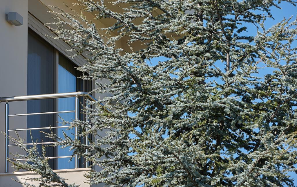 Villa Evergreen Iráklio Kültér fotó